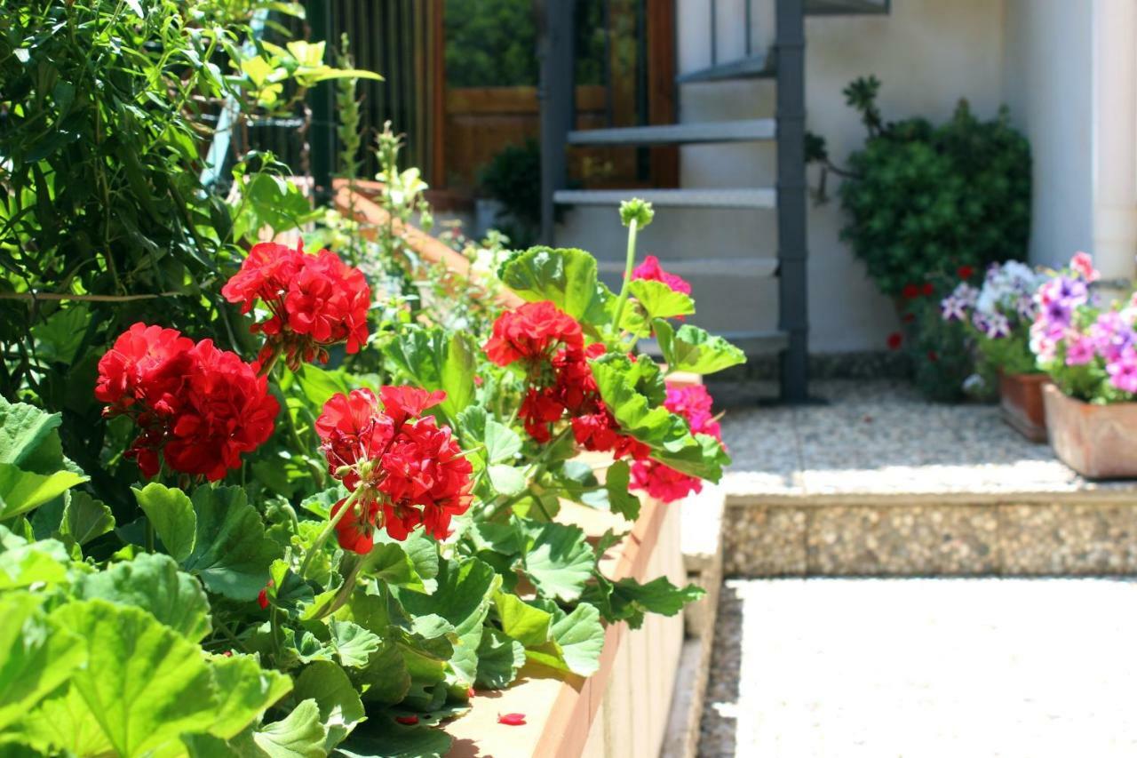 Raggio Di Sole Bed & Breakfast Macari Exterior foto
